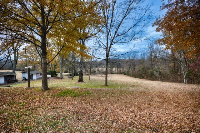 a backyard of a house with lots of green space