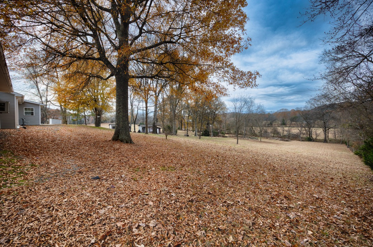 560 Old Poplar School Road Prospect, TN 38477 - Photo 22 of 28 a view of outdoor space with trees