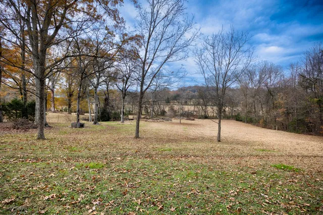 a street view covered with snow
