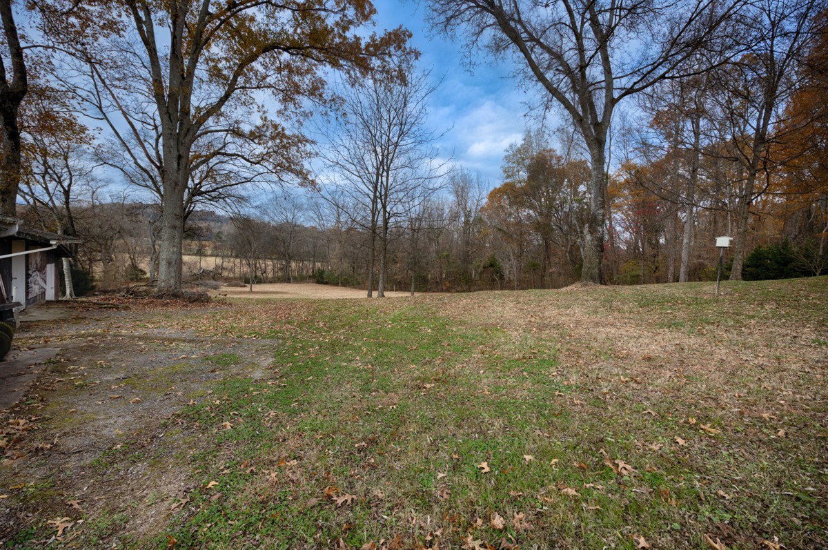 560 Old Poplar School Road Prospect, TN 38477 - Photo 24 of 28 a view of a yard with a tree