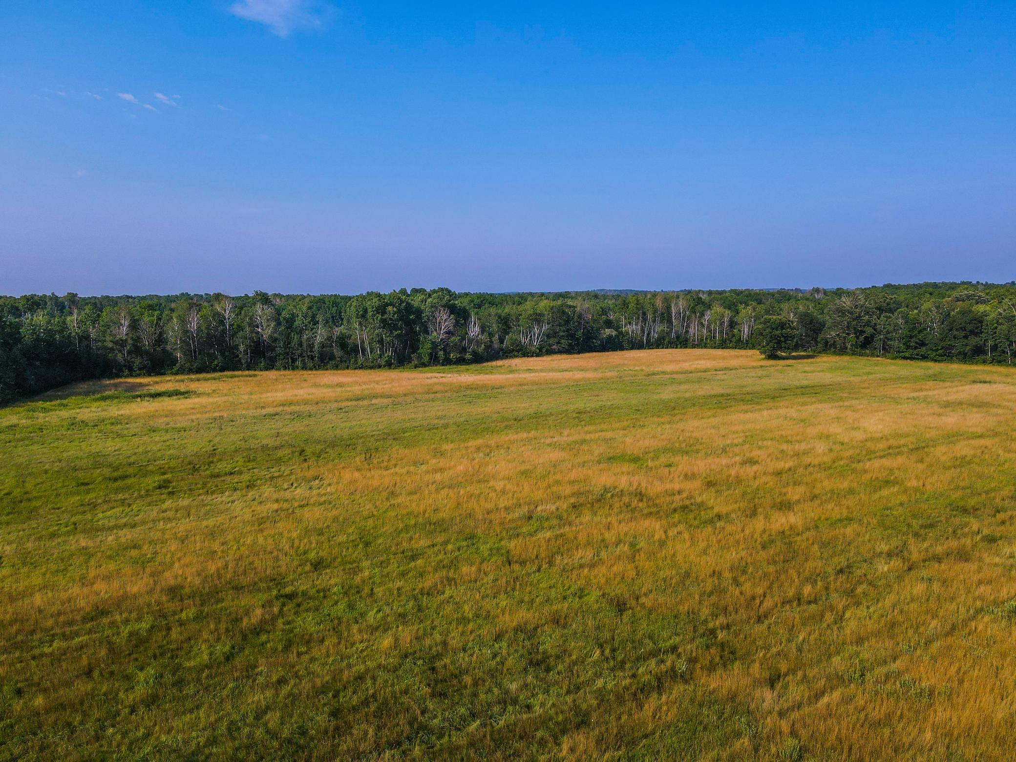 Tbd Tbd 60th Street Southwest Staples, MN 56479 - Photo 3 of 22 Gallery Image 3