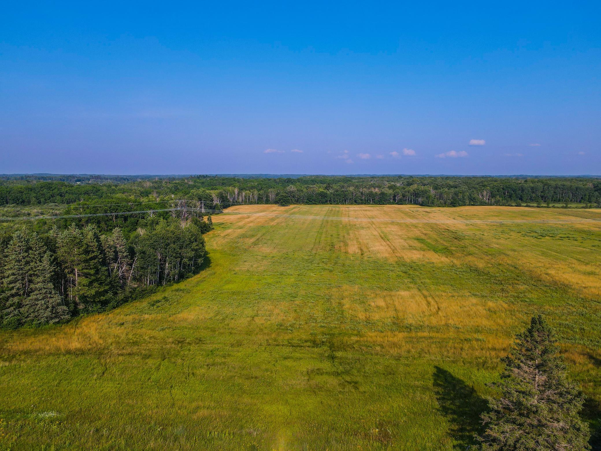 Tbd Tbd 60th Street Southwest Staples, MN 56479 - Photo 4 of 22 Gallery Image 4