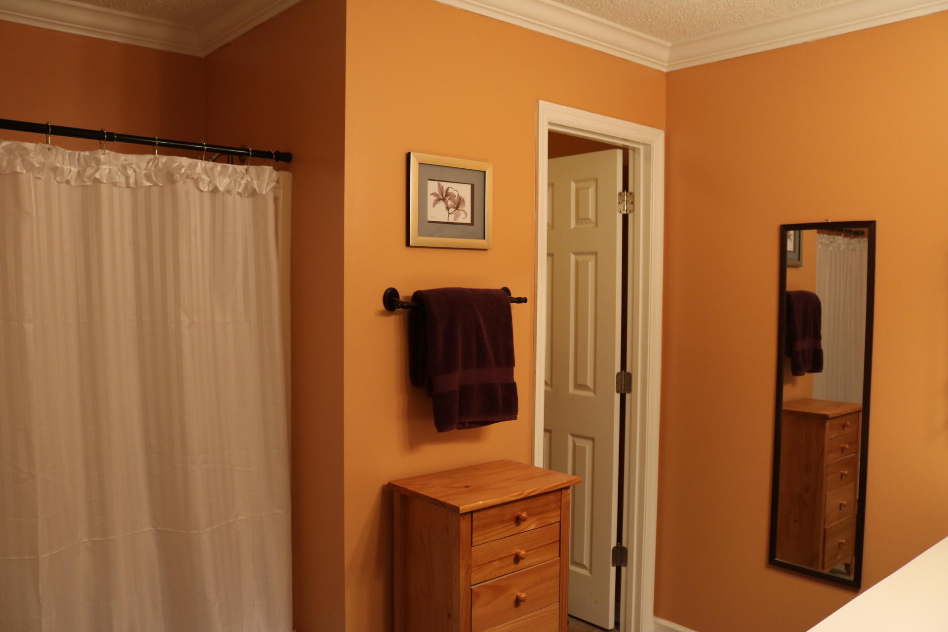 7617 Applecross Road Corryton, TN 37721 - Photo 13 of 23 IMG_0755