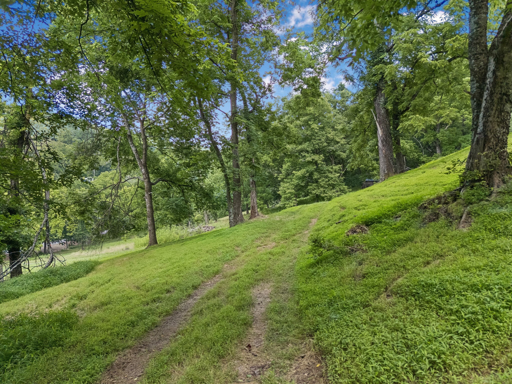 2268 North Berrys Chapel Road Franklin, TN 37069 - Photo 13 of 16 a view of an trees with a yard
