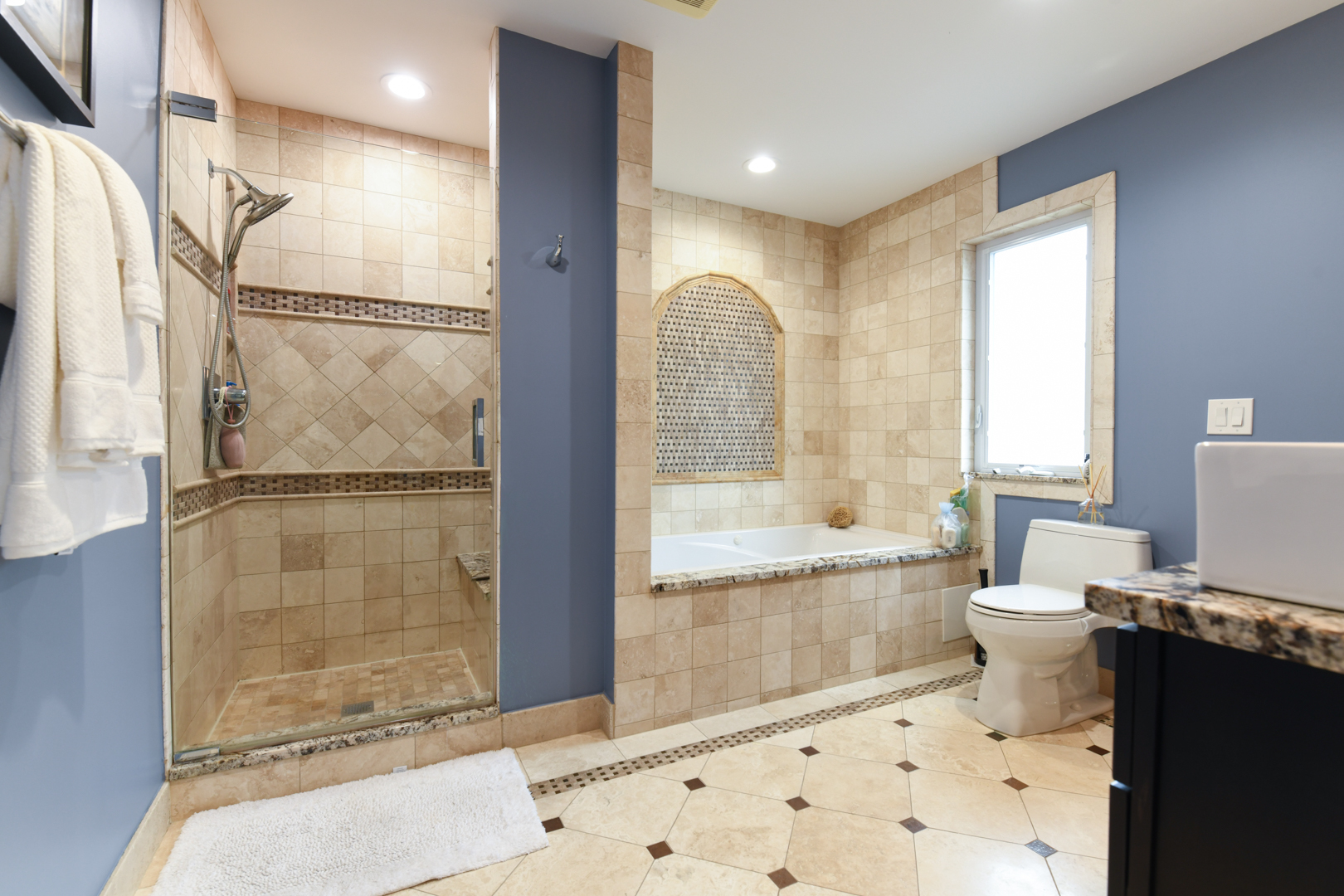 111 Grace Lane Fox River Grove, IL 60021 - Photo 19 of 33 a bathroom with a granite countertop sink toilet and shower