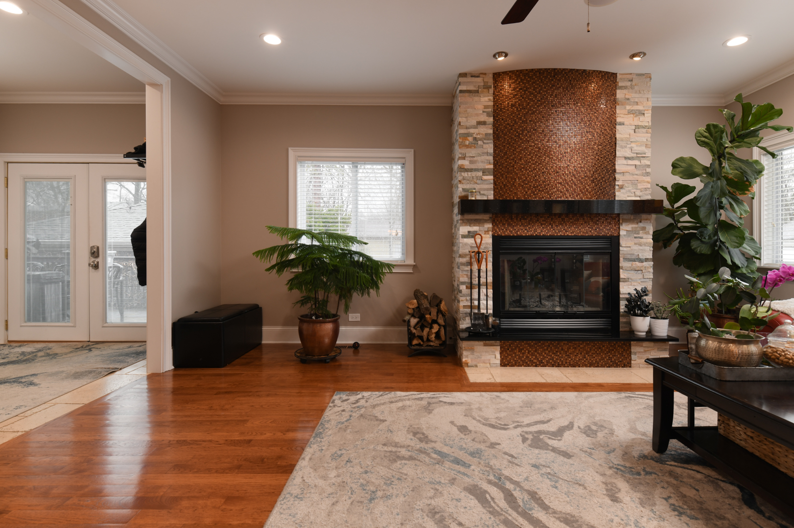 111 Grace Lane Fox River Grove, IL 60021 - Photo 9 of 33 a living room with furniture and a fireplace