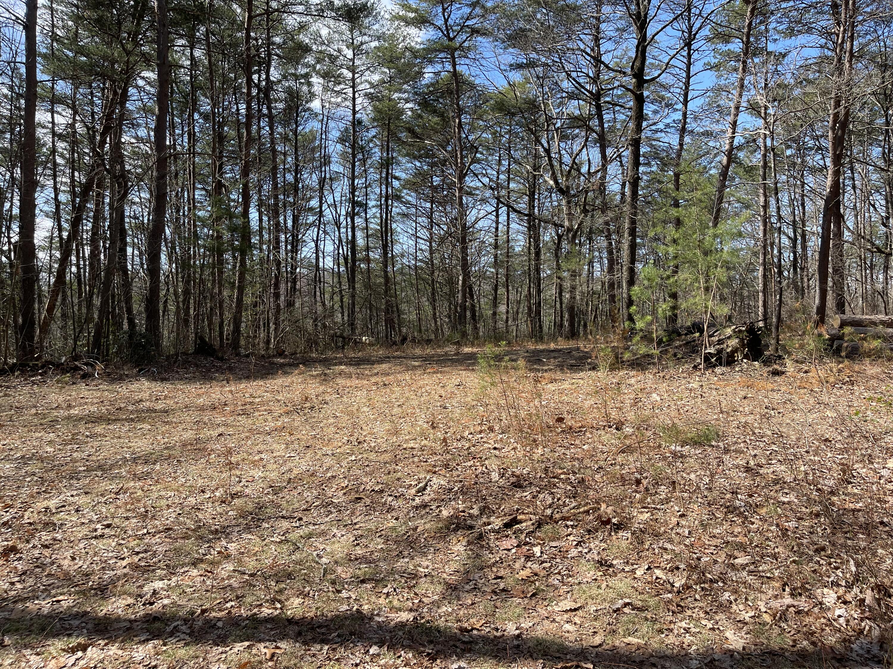 19.79 Deerhead Road Dunlap, TN 37327 - Photo 11 of 16 8DDB9513-EB23-4FE3-9D47-C95BC70F014A