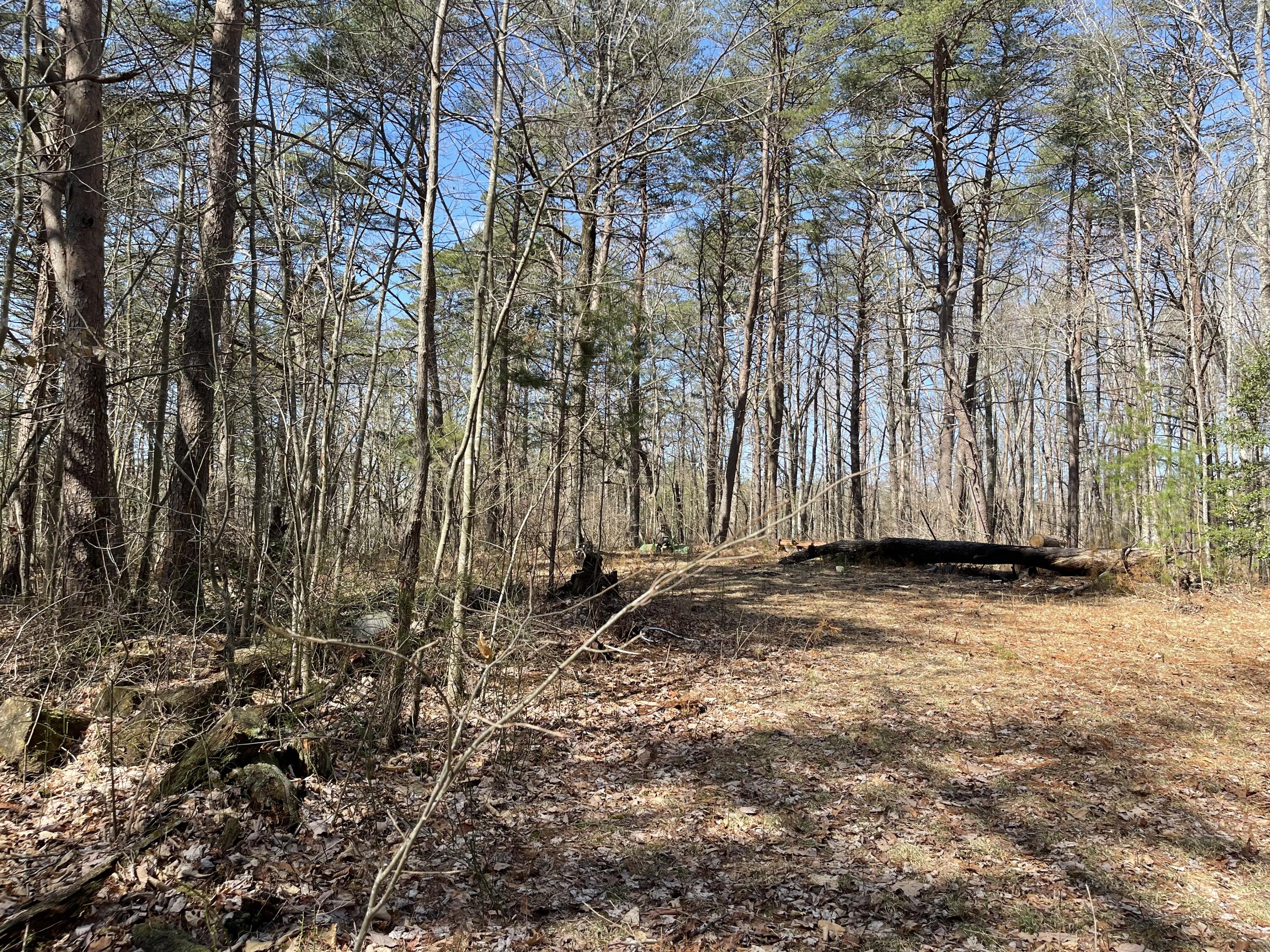 19.79 Deerhead Road Dunlap, TN 37327 - Photo 12 of 16 D5601AEE-BCCA-424D-84CE-56EBB3BF819C