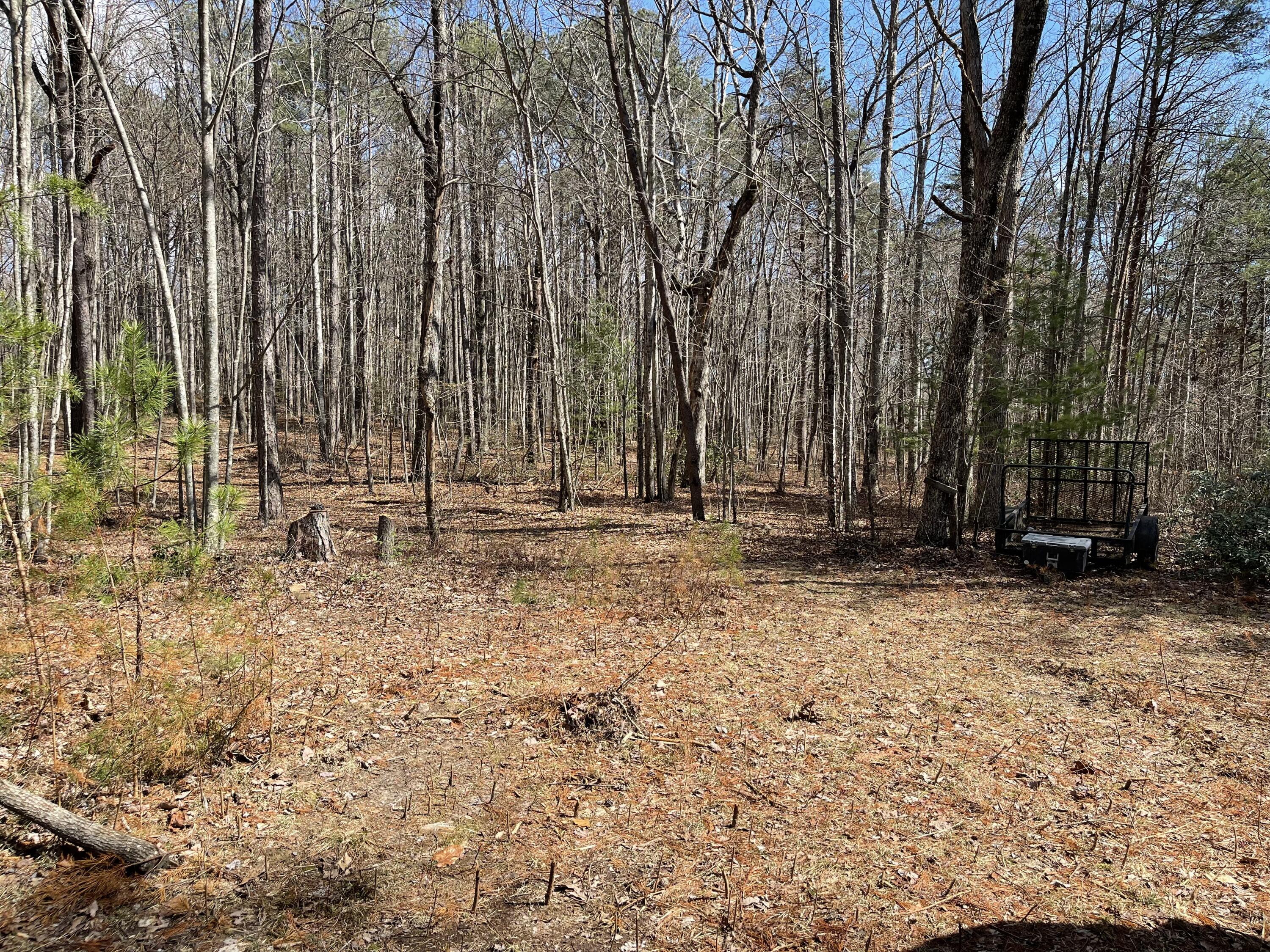 19.79 Deerhead Road Dunlap, TN 37327 - Photo 16 of 16 C80B1D78-A027-47F3-9D3C-7AE9012EA0C8