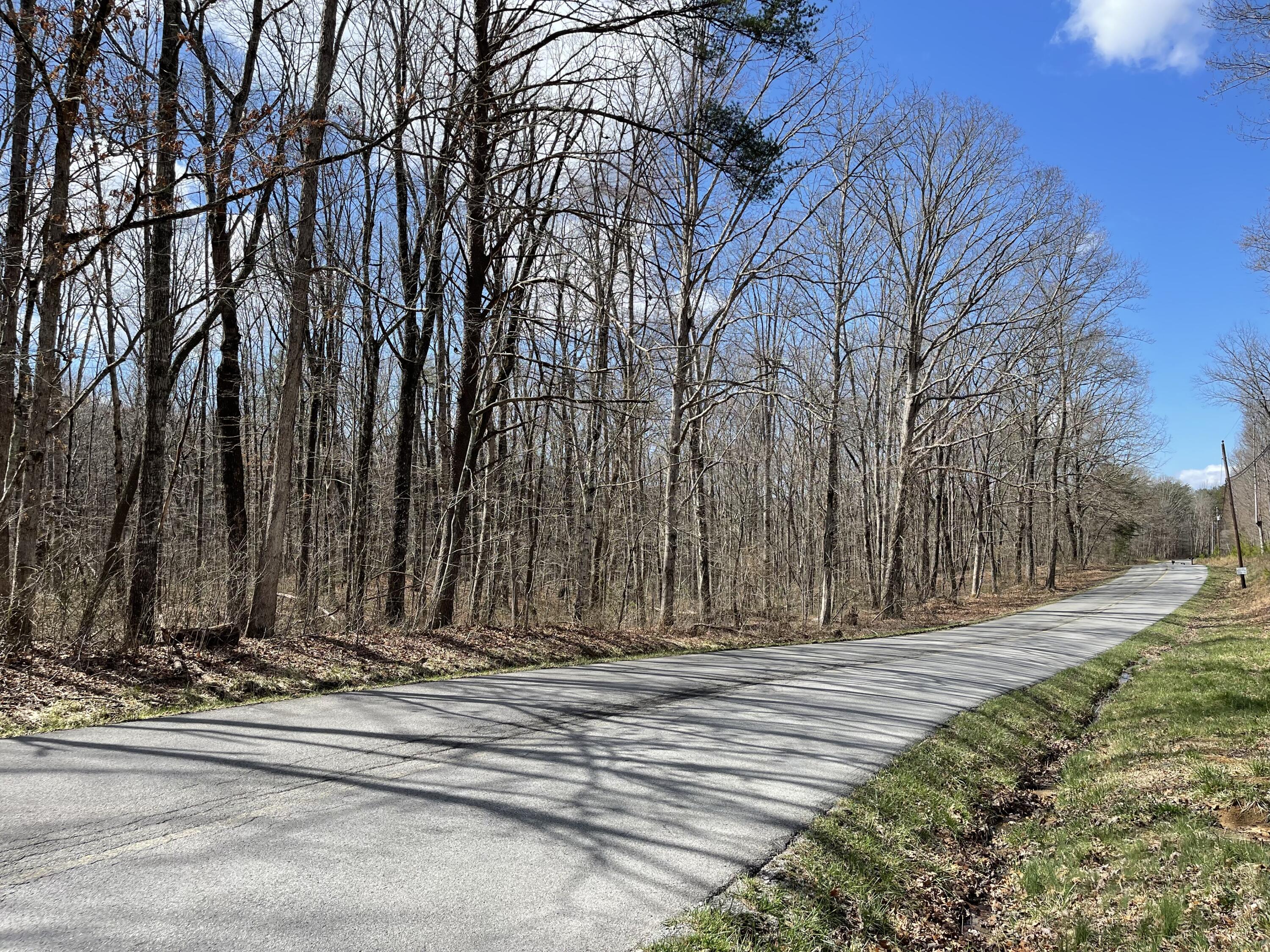 19.79 Deerhead Road Dunlap, TN 37327 - Photo 7 of 16 56F7E019-0274-41E6-A6B7-E251D71FCA03