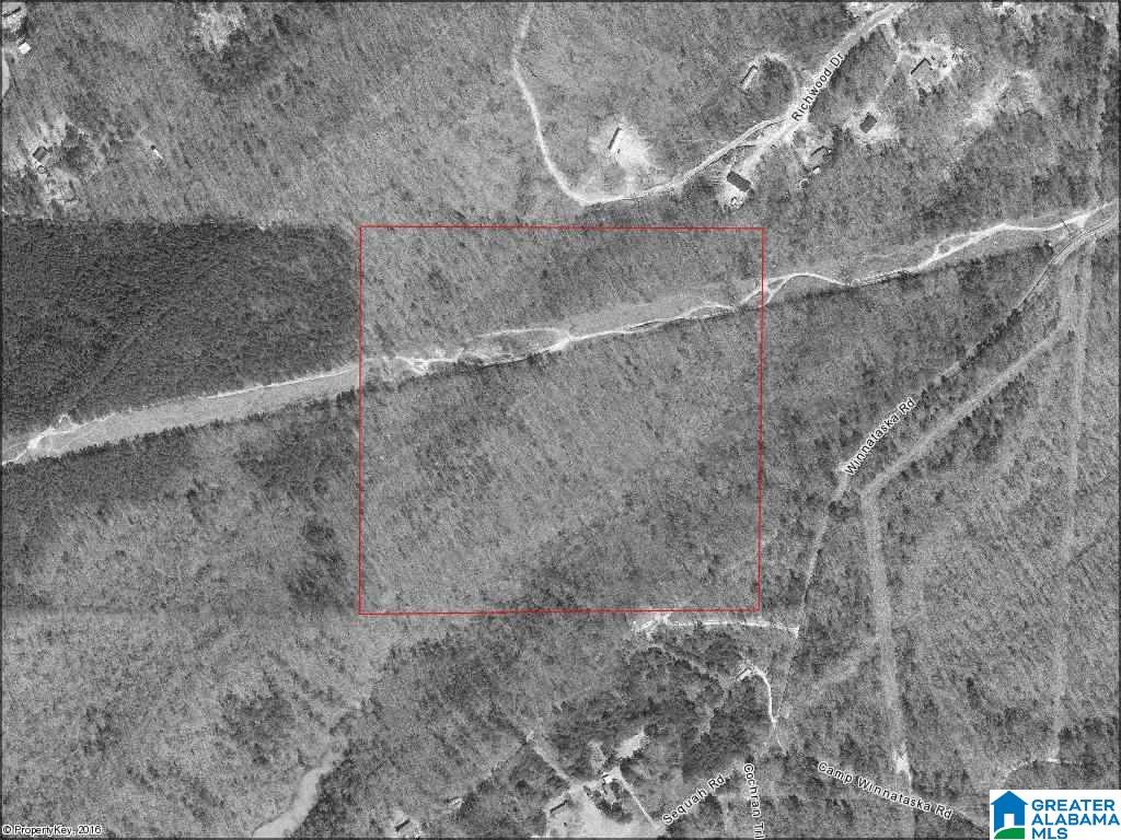 0 Camp Winnataska Road, Unit 100 ACRES Pell City, AL 35128 - Photo 3 of 3