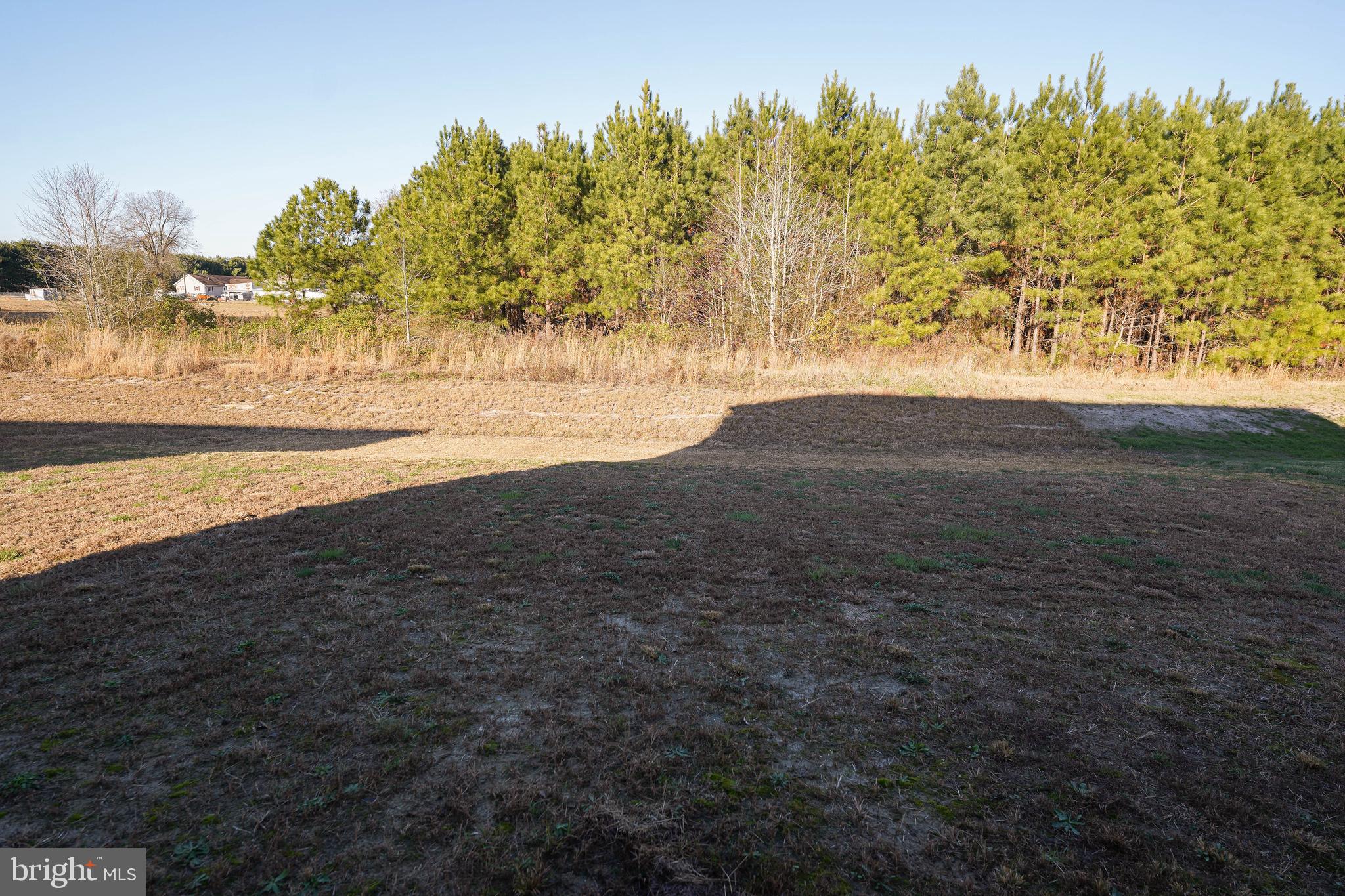 11629 Buckingham Drive Delmar, DE 19940 - Photo 4 of 36