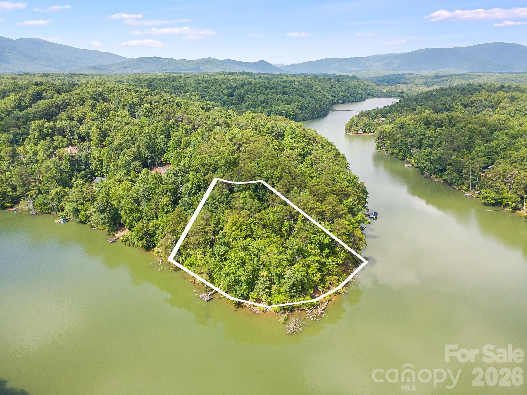 0 Canoe Drive, Unit 40 Mill Spring, NC 28756 - Photo 3 of 23
