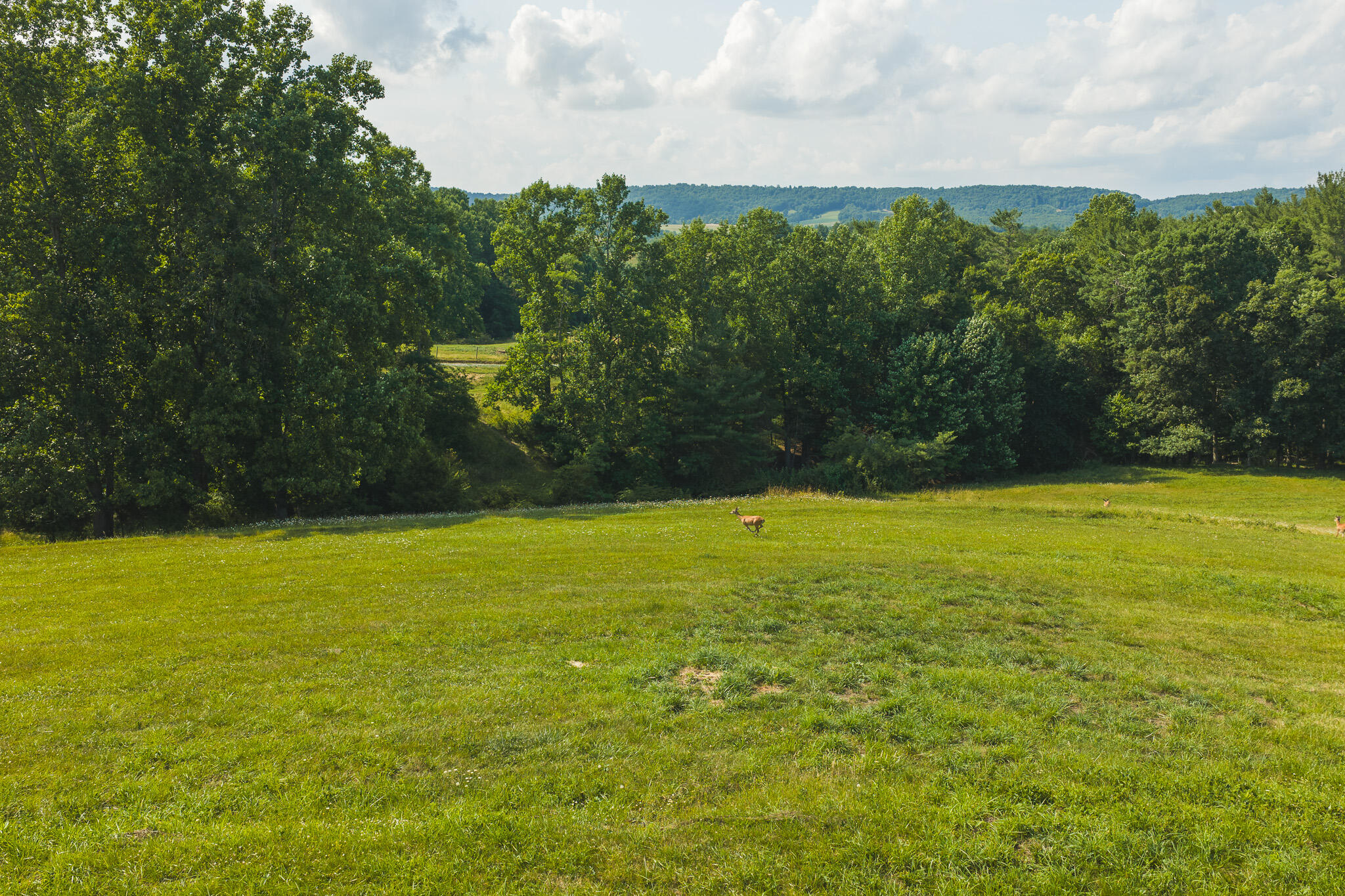 Lot 4 Brush Creek Road Riner, VA 24149 - Photo 11 of 14 DJI_20260629164725_0163_D