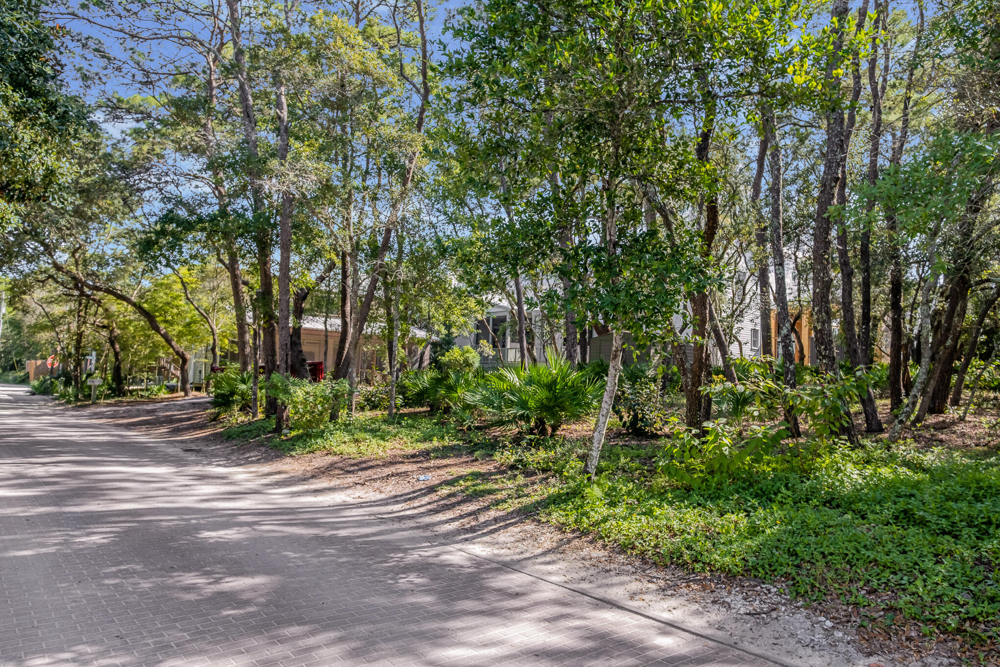 321 Forest Street Santa Rosa Beach, FL 32459 - Photo 19 of 31 Gallery Image 19