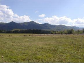 211 O O Moore Road Chuckey, TN 37641 - Photo 3 of 24 Photo 3