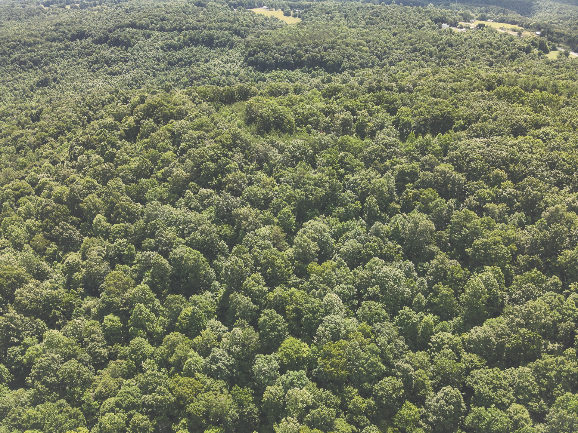 0 Long Fork Creek Road Spencer, TN 38585 - Photo 39 of 45