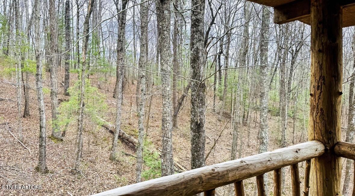495 Bear Hollow Road Oneida, TN 37841 - Photo 40 of 60 IMG_2045