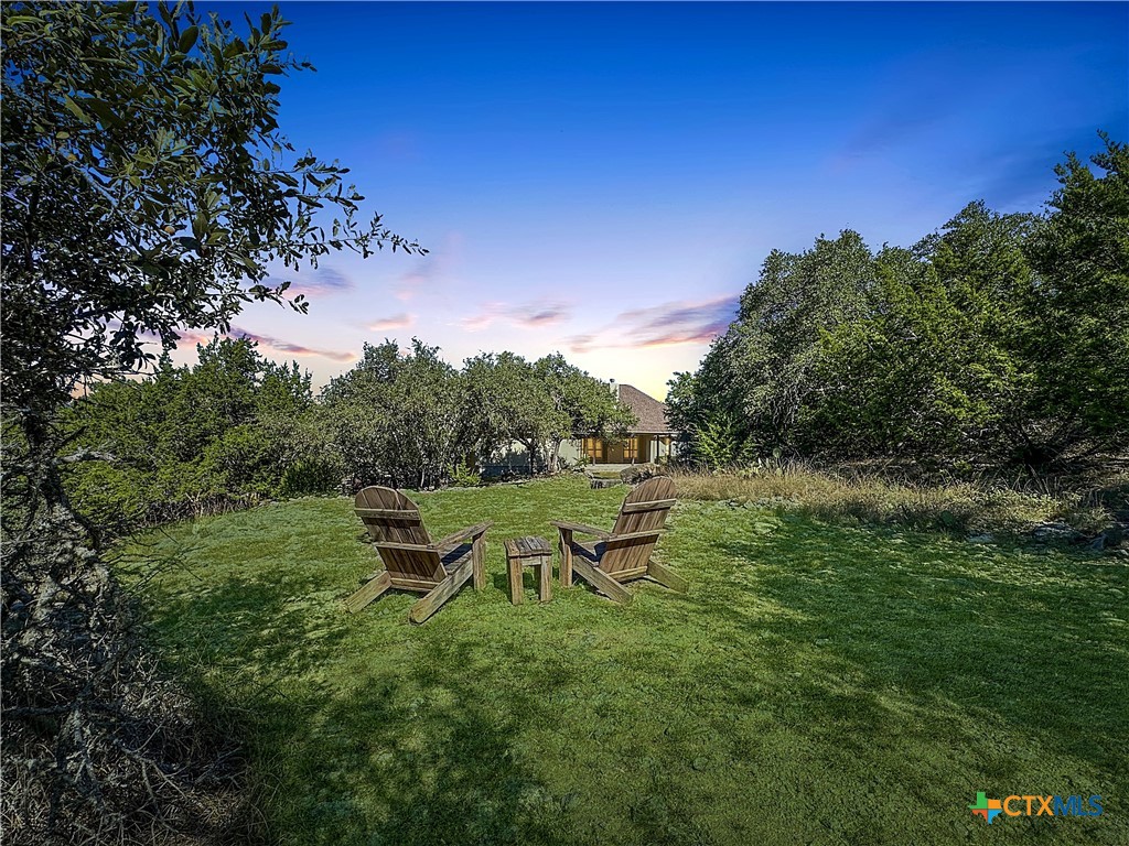 386 Wentworth Spring Branch, TX 78070 - Photo 36 of 39 a view of a lake in a forest