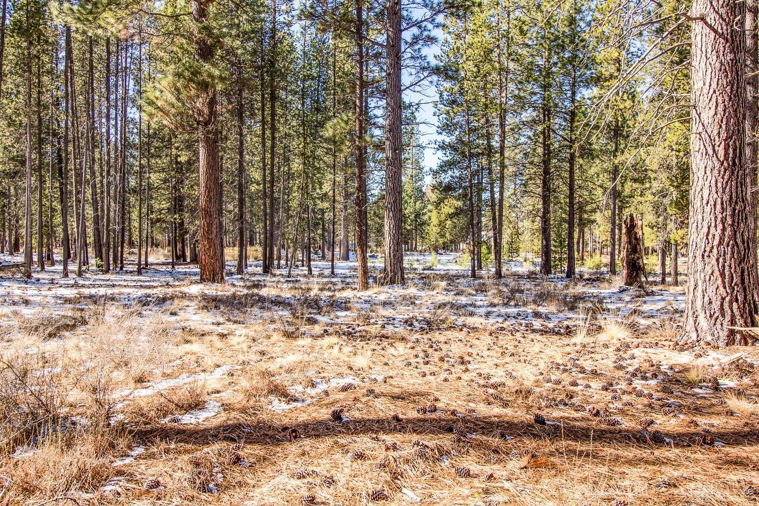 56154 Sable Rock Loop Bend, OR 97707 - Photo 5 of 12 Additional Photo