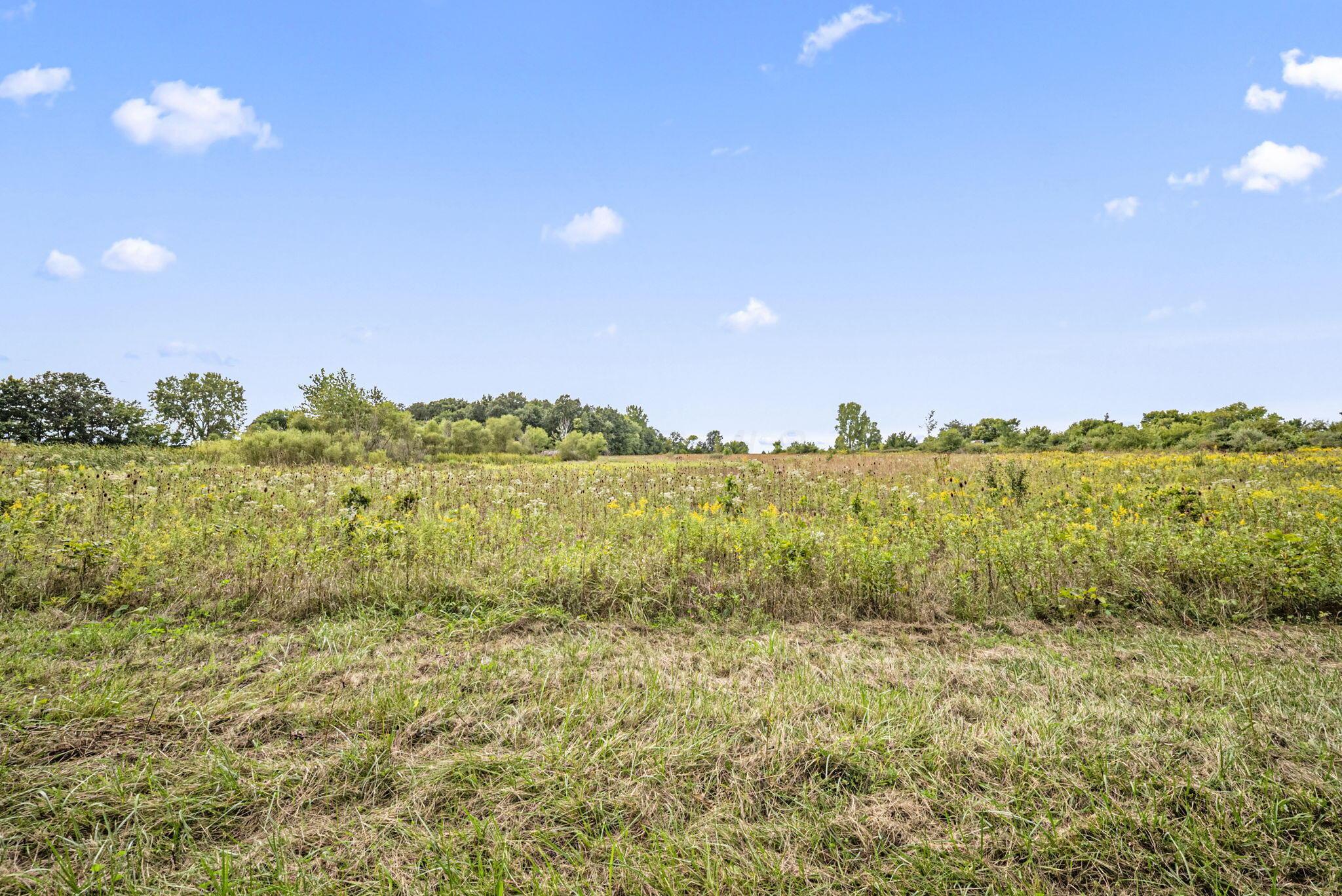 0 Likens Road Marion, OH 43302 - Photo 56 of 88 54-web-or-mls-DSC07056