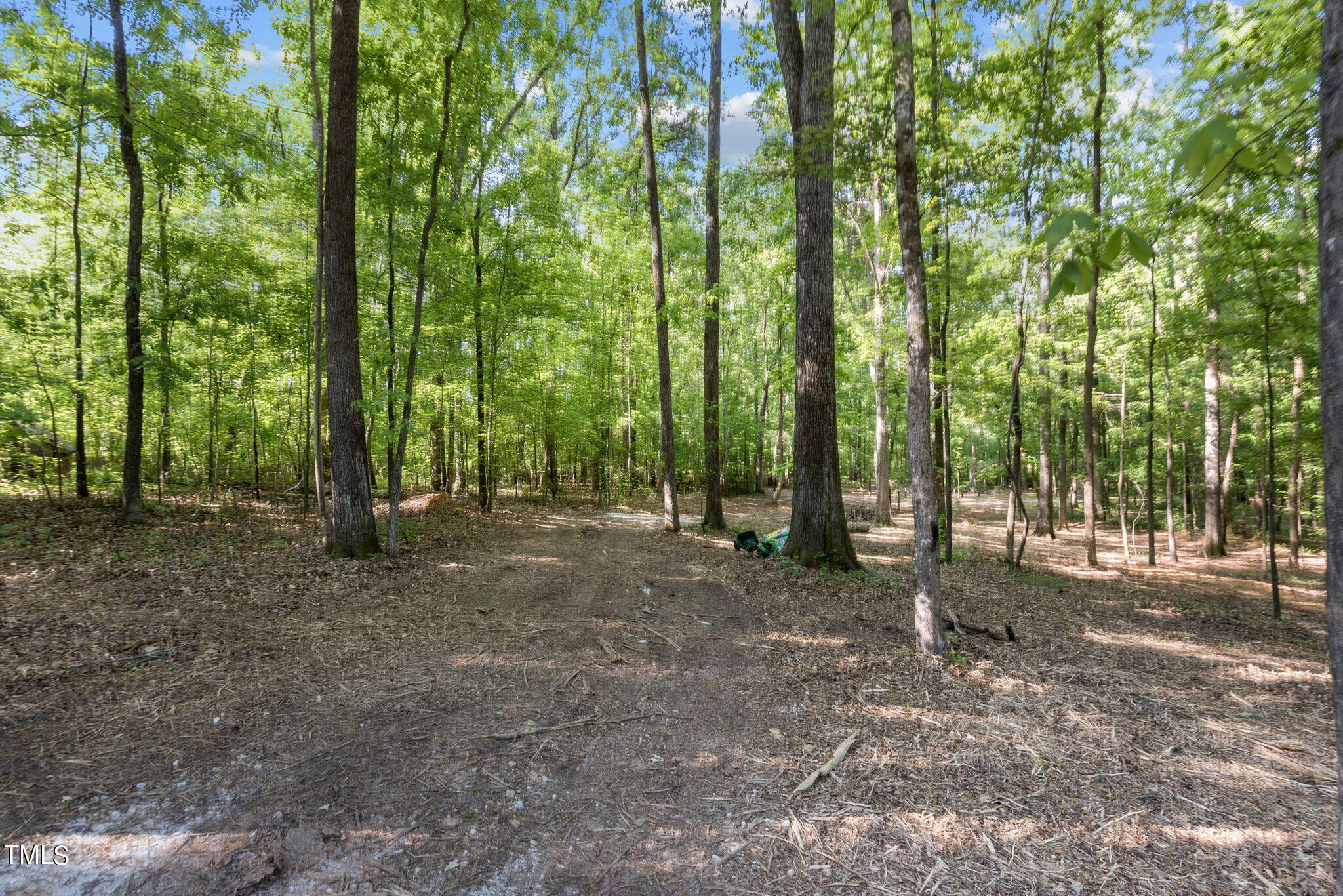 Lot 2 Helena Moriah Road Timberlake, NC 27583 - Photo 4 of 12 a view of a forest with trees in the background