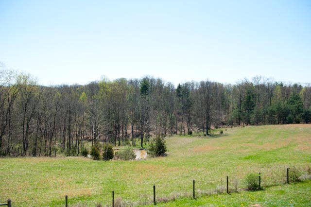 156 Dividing Ridge Road Mount Solon, VA 22843 - Photo 17 of 19 Gallery Image 17