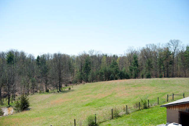 156 Dividing Ridge Road Mount Solon, VA 22843 - Photo 18 of 19 Gallery Image 18