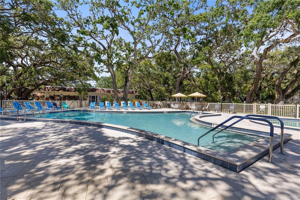 860 Virginia Street, Unit 211 Dunedin, FL 34698 - Photo 38 of 49