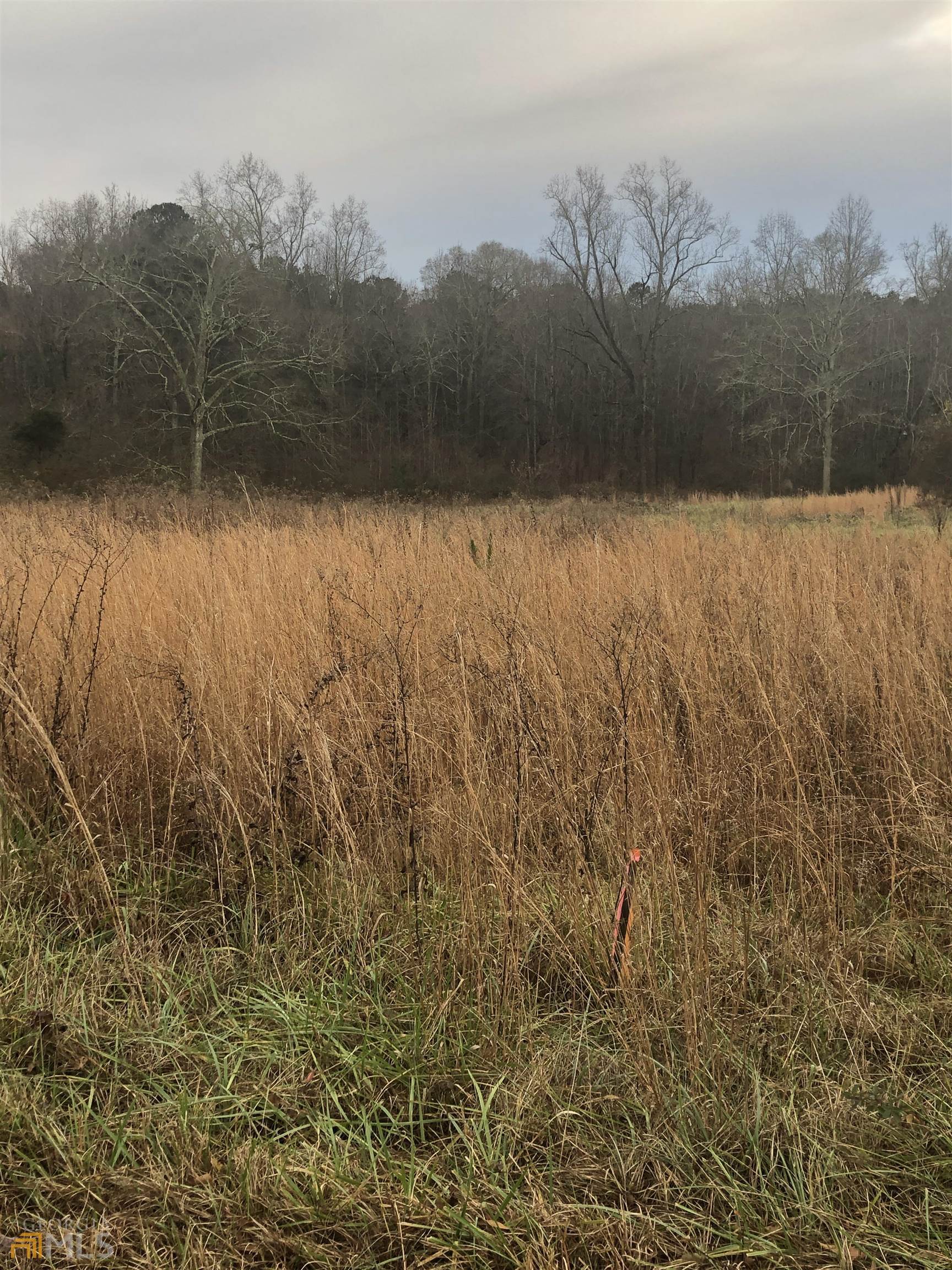 0 Wm Cap Jackson Road Monroe, GA 30656 - Photo 1 of 1