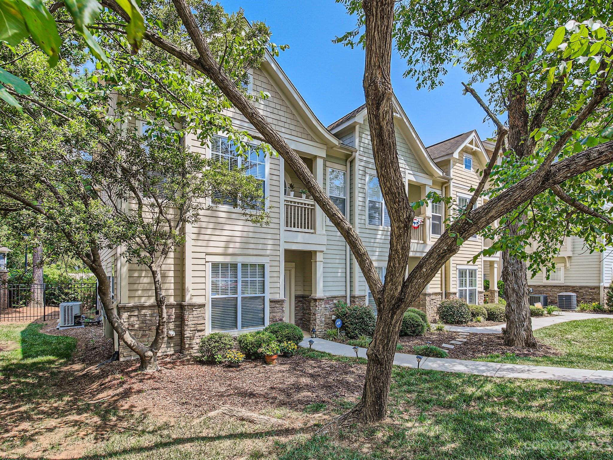 831 Millbrook Road Charlotte, NC 28211 - Photo 2 of 33 a large tree in middle of the garden
