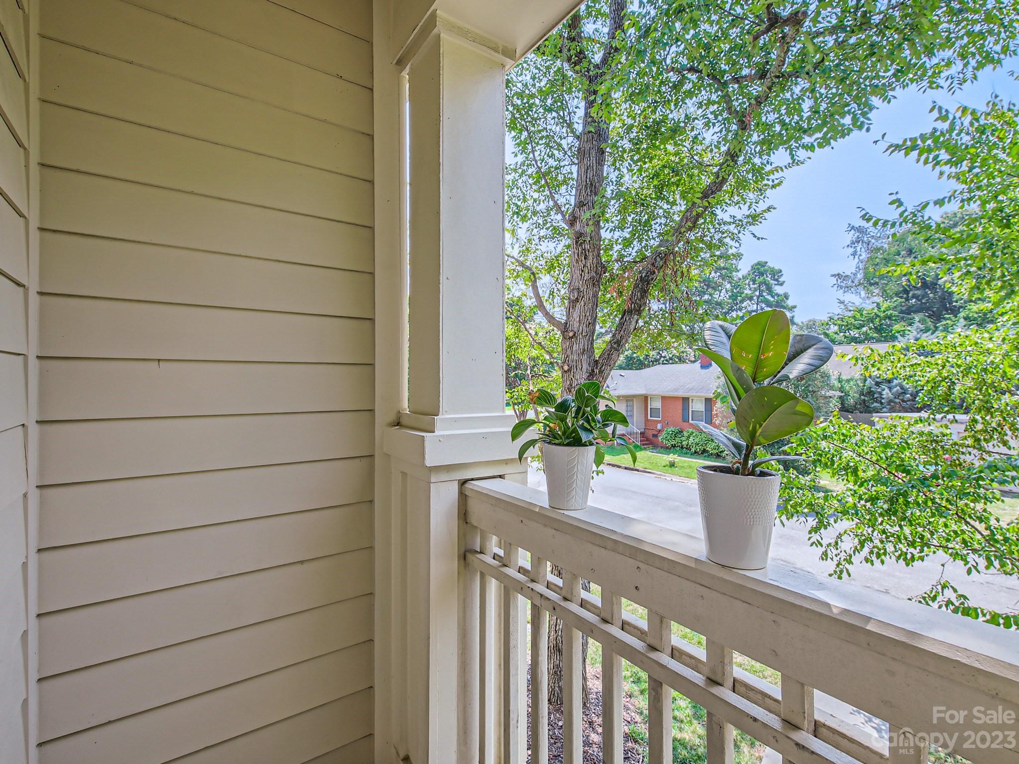 831 Millbrook Road Charlotte, NC 28211 - Photo 21 of 33 a potted plant sitting on a window sill and a sink