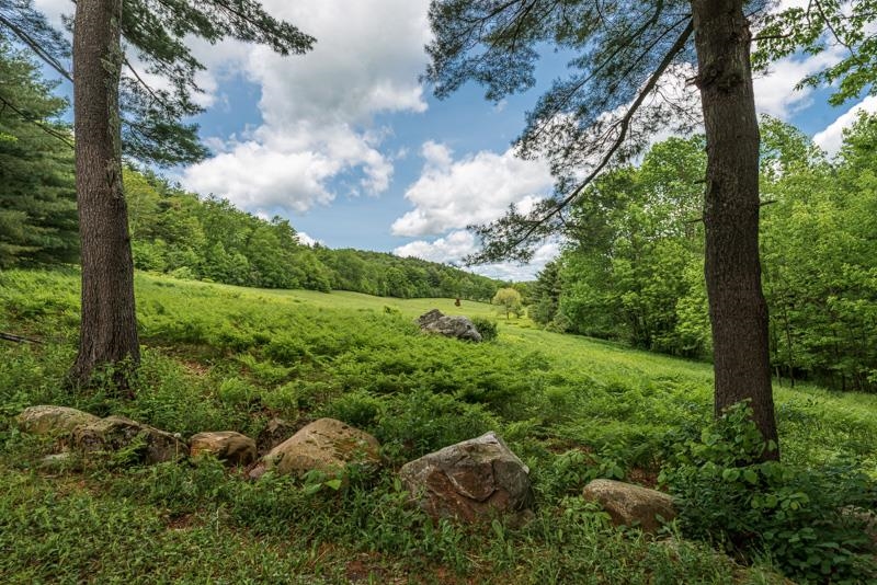 1955 Saw Mill Hill Road Wells, VT 05774 - Photo 43 of 45