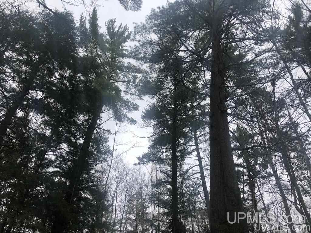36.5 Shores Road, Unit 22 Manistique, MI 49854 - Photo 9 of 11