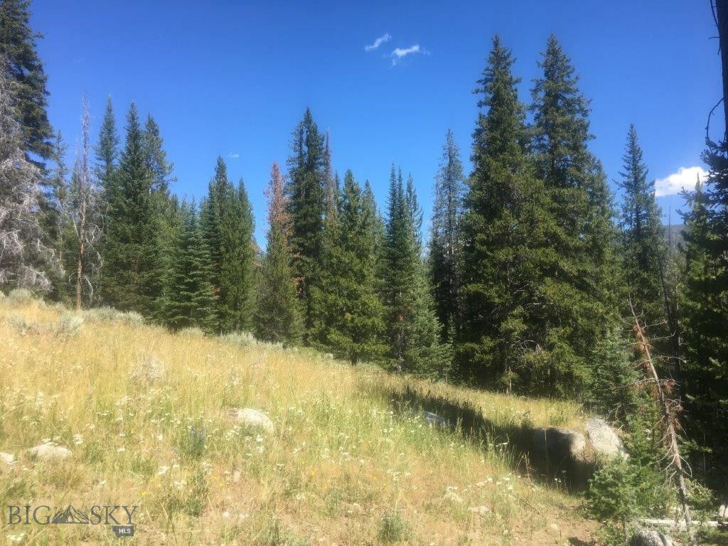 216 Trapper Creek Road Glen, MT 59732 - Photo 24 of 29 Gallery Image 24