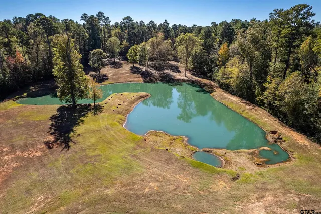a view of a swimming pool with a yard
