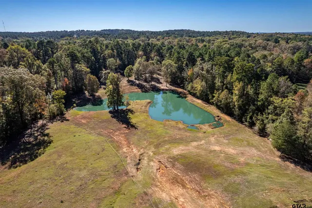 an aerial view of residential houses with outdoor space and trees