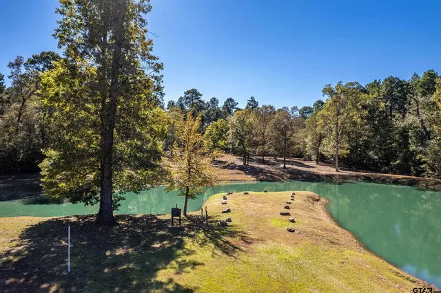 a view of a swimming pool with a yard