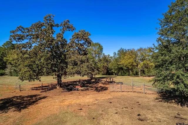 a view of dirt field with large trees