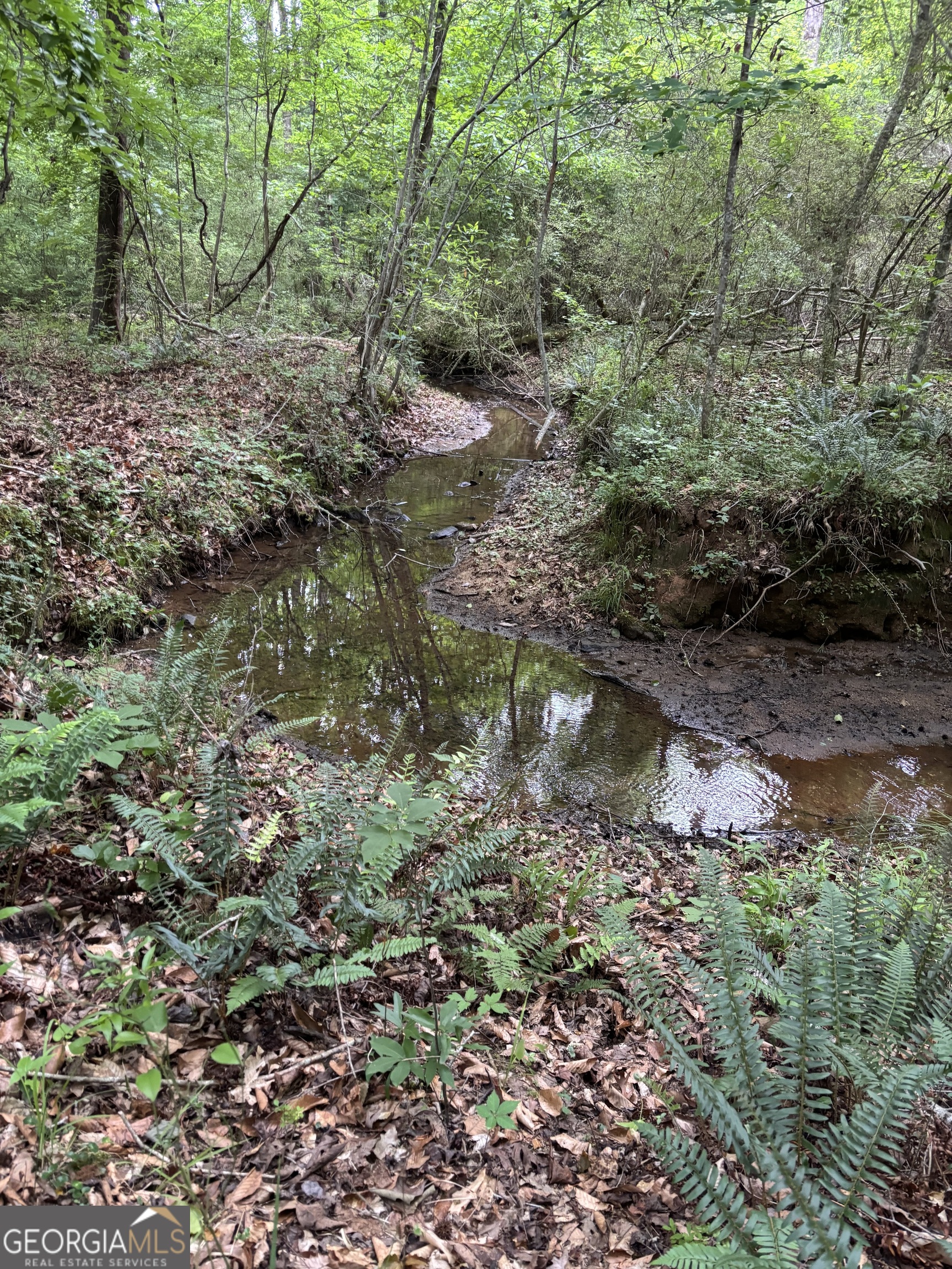 0 County Road 193 Valley, AL 36854 - Photo 8 of 23