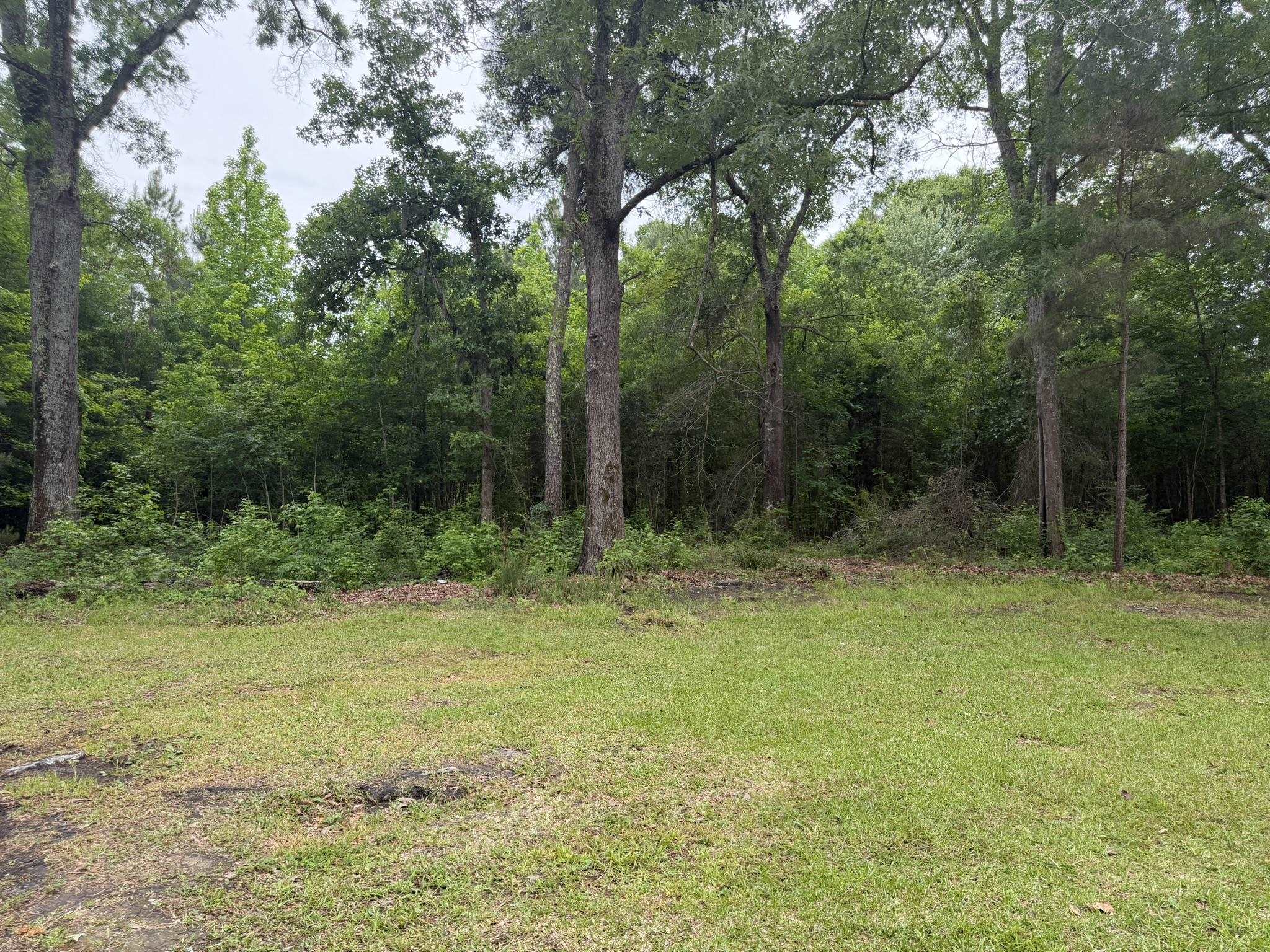 1389 County Rd S-45-678 Kingstree, SC 29556 - Photo 3 of 16