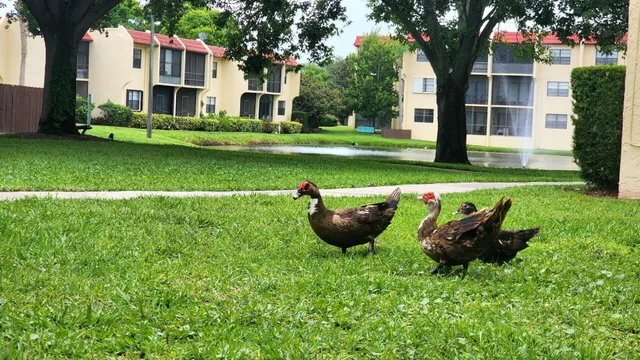 a view of a house with backyard sitting area and garden