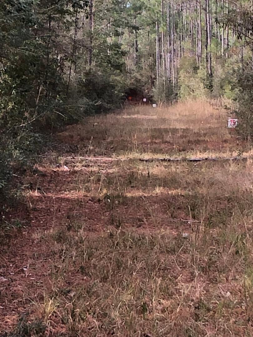 995 Adams Ranch Road DeFuniak Springs, FL 32433 - Photo 8 of 11 dress 2 b