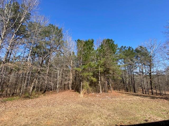 190 Coleman Valley Loop Jena, LA 71342 - Photo 23 of 23