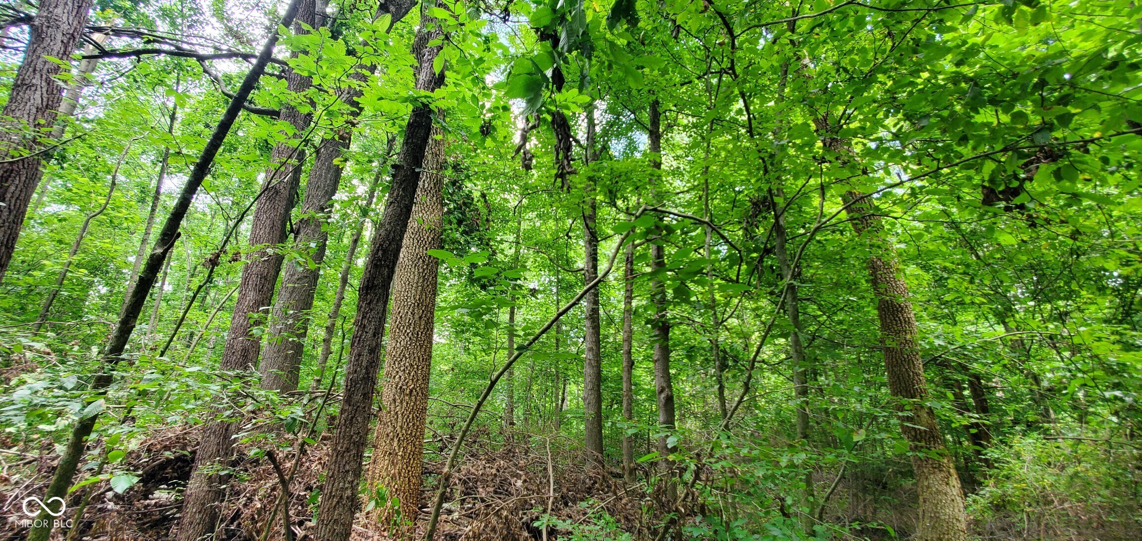 12251 East Wagner Road Solsberry, IN 47459 - Photo 54 of 80 Gallery Image 54