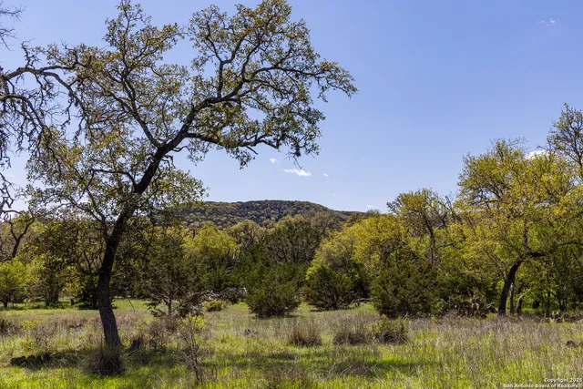 a view of mountain view with lots of trees