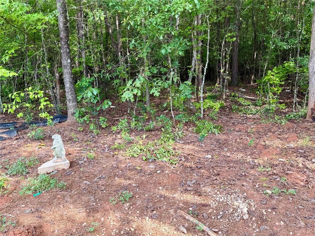 6.9 Rivertown Road Fairburn, GA 30213 - Photo 8 of 27
