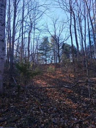 $39,900 | 0 Peters Creek Road, Big Island, VA 24526
