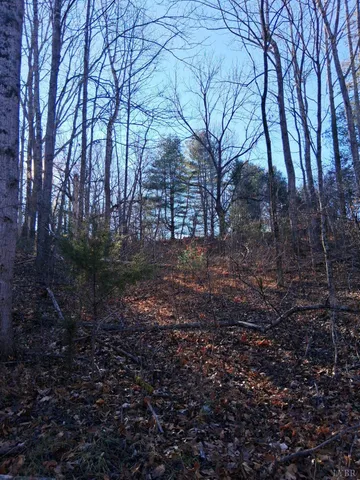 a view of a yard with plants and trees