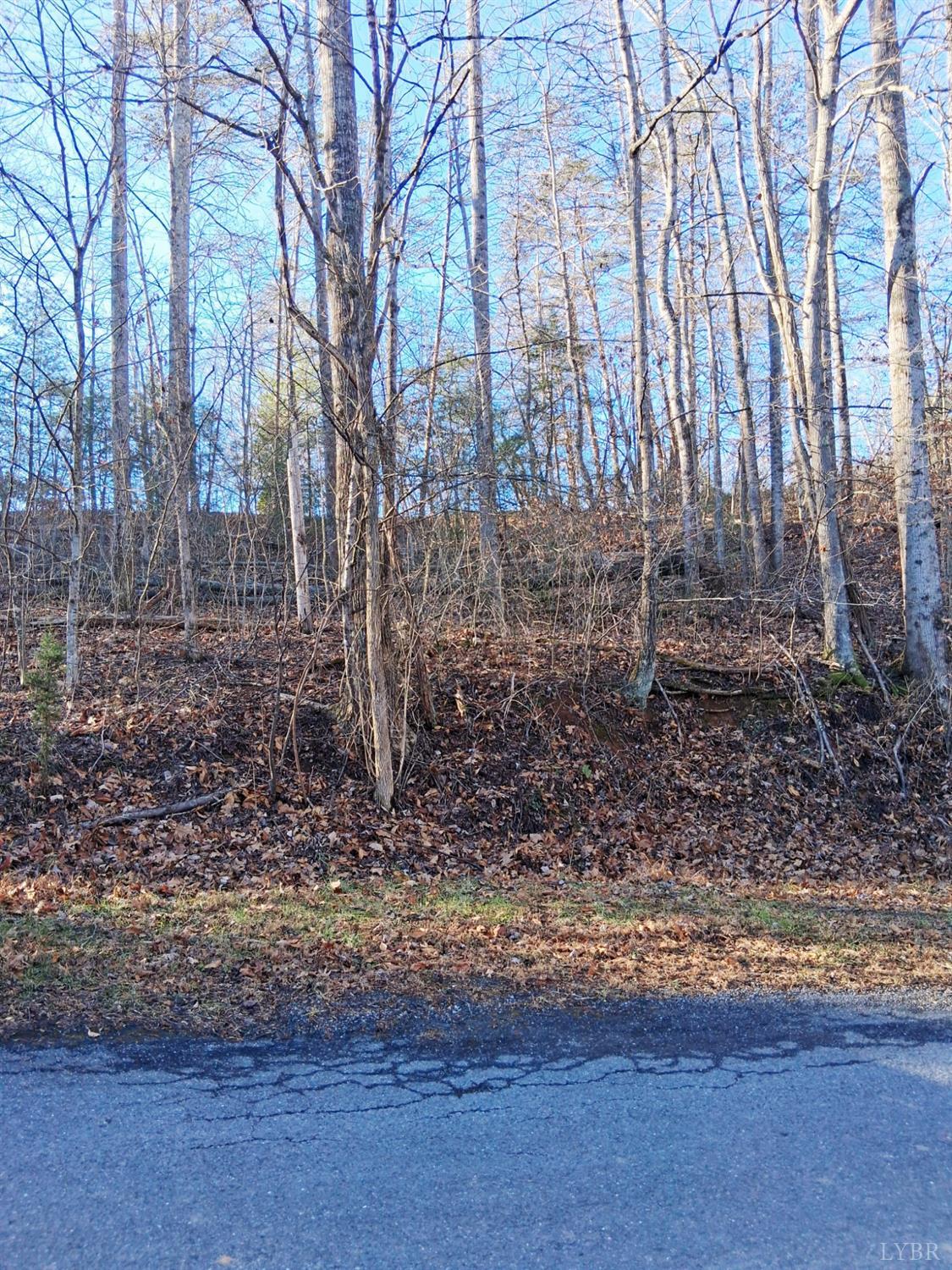 0 Peters Creek Road Big Island, VA 24526 - Photo 2 of 6 a view of a yard with large trees
